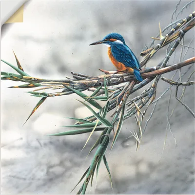 Produktbild von ARTland Wandbild, selbstklebend Eisvogel I Größe: 50x50 cm