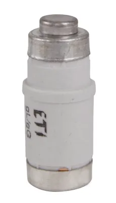 Immagine prodotto di 10 Fusibile D02 da 20 A