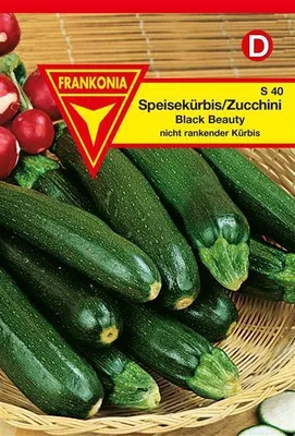 Produktbild von Zucchini Black Beauty