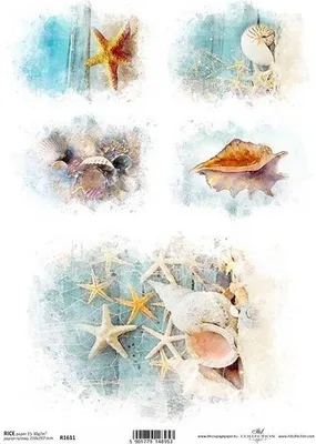 Produktbild von ITD Reispapier Decoupage Bastelpapier Softpapier Serviettentechnik, Muscheln R1611