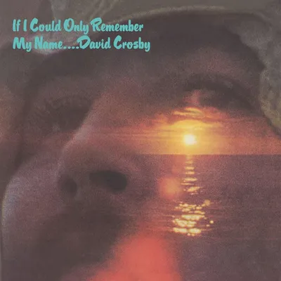 Immagine prodotto di David Crosby - Se solo potessi fare il vinile