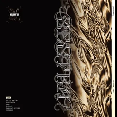 Zdjęcie produktu dla Various Artists - VASSTR01 - Volume 2 (LP)