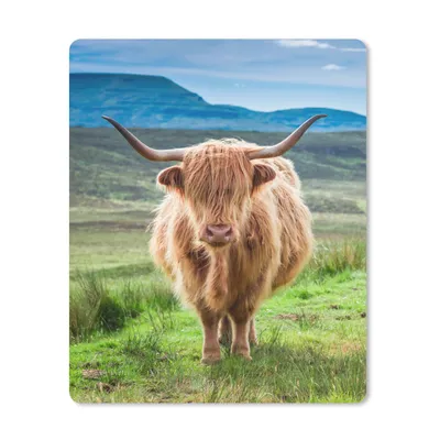 Produktbild von MuchoWow® Mauspad Mousepad Schottischer Hochländer - Kuh - Natur - Berg - Gras 19x23 cm - Mousepads - Maus Mat - Pad - Mausunterlage - Mauspads - Spielen
