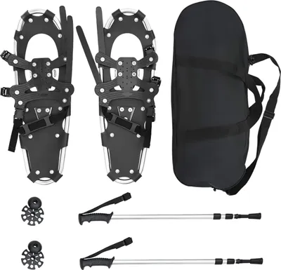 Image de vidaXL 3 en 1 Raquettes à neige avec bâtons de marche Argent et noir