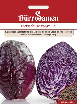 Produktbild von Dürr-Samen - Rotkohl Integro F1 - Saatgut - 4117
