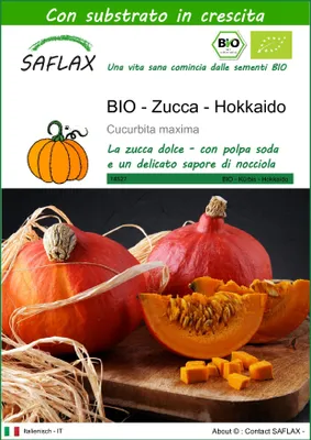 Immagine prodotto di SAFLAX -- Zucca - Hokkaido - 5 semi - Con substrato - Cucurbita