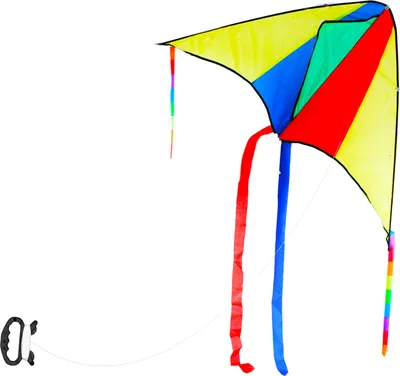 Immagine prodotto di RAPPA Drago volante 110 x 63 cm