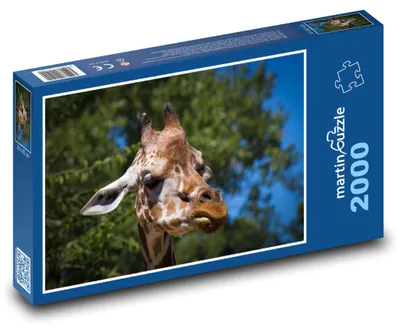 Produktbild von Puzzle 2000 Giraffe im Sonnenschein im Gehege - martinpuzzle