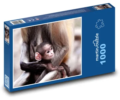 Obrázek produktu pro martinpuzzle - Puzzle 1000 - Opice - mládě, opičátko