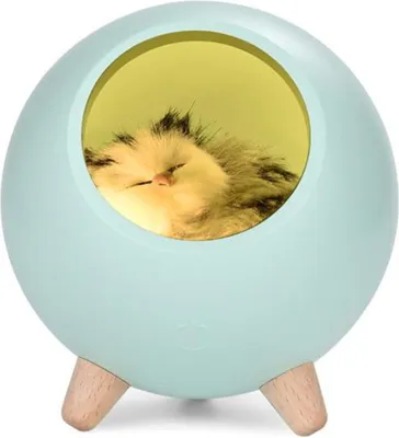 Produktbild von Habarri | Kinder Nachtlicht - Nachtlampe mit Kätzchen - für Kinderzimmer - Grün - mit Micro-USB-Aufladung