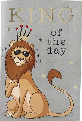 Immagine prodotto di Depesche Spielzeug King of the day - un regalo colorato per i bambini