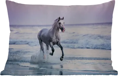 Produktbild von MuchoWow® Outdoor Kissen - Pferde - Luft - Meer - 60x40 cm - Wetterfest - Lounge Kissen - Zierkissen - Kissen für Innenräume