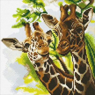 Produktbild von Crystal Art Gemälde zum Malen mit Diamanten - Giraffen - 30 x 30 cm