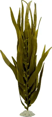 Produktbild von Aqua Della Plastikpflanze Kelp braun, Größe: S