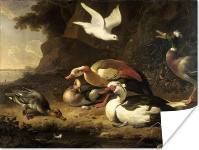 Produktbild von MuchoWow® Poster Enten - Gemälde von Melchior d'Hondecoeter 120x90 cm - Wandbild