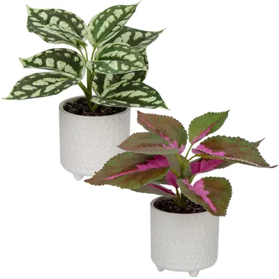 Immagine prodotto di Omgoods - Piante artificiali in vasi di Vetroceramica - Set di 2 piante decorative