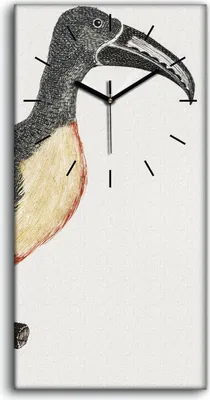 Produktbild von Leinwand Uhr Küche Wohnzimmer Bild 30x60 Zeichnung Tier Vogel Zweig Kunst - schwarze Hände