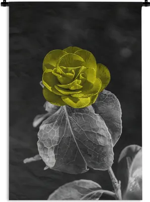 Produktbild von MuchoWow® Wandteppich Wandbehang Blumen - Rose - Gelb - Schwarz - Weiß 120x180 cm Tapisserie Dekoration Wandtuch - Schlafzimmer - Dekorationen für das Haus