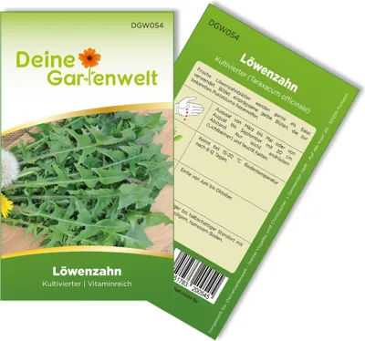 Löwenzahn Kultivierter Samen - Taraxacum officinale - Löwenzahnsamen - Kräutersamen - Saatgut für 100 Pflanzen
