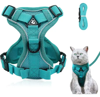 Produktbild von Katzengeschirr mit Leine Set, Ausbruchsicher, Verstellbar, Mesh, Blau, Größe S