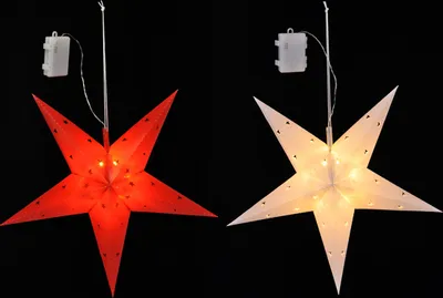 Produktbild von Weihnachtsstern in weiß oder rot