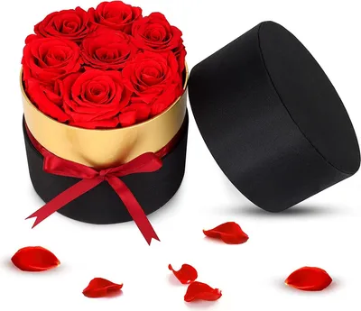 Produktbild von Blumenkasten mit 7 echten Rosen