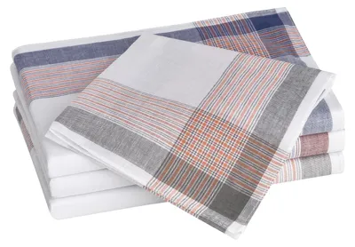 Tobeni 20 Herrentaschentücher Stoff-Taschentücher 100 gekämmte Baumwolle 40 x 40 cm Design 14