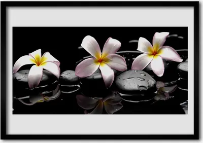 Produktbild von Bild 100x70 MDF-Rahmen Wandkunst Stein Blume Pflanze