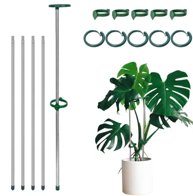 Productafbeelding van Uitschuifbare Plantenstokken, 28–52 cm Verstelbare Plantensteun