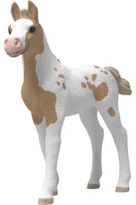 Image de Schleich HORSE CLUB 81484, pour enfants de 4 ans et plus, multicolore, plastique