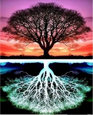 Immagine prodotto di Albero della pittura a diamante