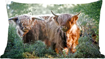 Produktbild von MuchoWow® Zierkissen Sofakissen Wohnzimmer Dekokissen 50x30 cm Schottische Hochlandrind - Wald - Tiere - Wohnzimmerdekoration - Polster mit Photo