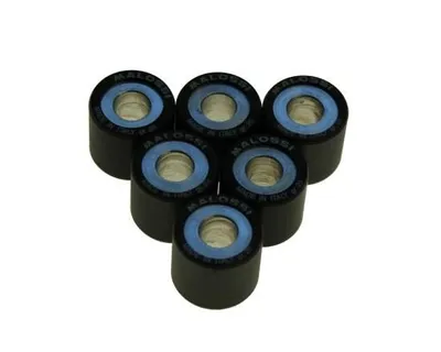 Productafbeelding van Malossi variatorrollen, 24,0 gram, 25x22,2 mm