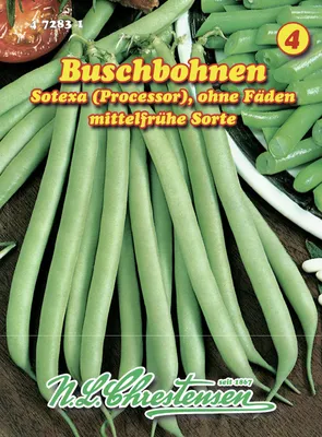 Produktbild von Buschbohne Sotexa | Buschbohnensamen von N.L. Chrestensen