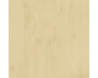 Produktbild von d-c-fix® Klebefolie Holzdekor Birke 45x200 cm