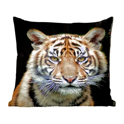 Produktbild von MuchoWow® Zierkissen Sofakissen Wohnzimmer Dekokissen 50x50 cm Tiger - Schwarz - Jungtier - Komfort - Sofakissen