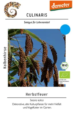 Artikelbild 1 von 'BIO Kolbenhirse Herbstfeuer' aus der Kategorie Blumensamen