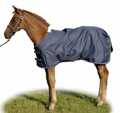 Produktbild von HKM Fohlendecke Professional mit Polarfleece 0g dunkelblau