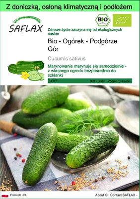 Zdjęcie produktu dla SAFLAX - Garden to go - Bio - Ogórek - Podgórze Gór - 15 Nasiona - Z doniczką, pokrywą klimatyczną i podłożem do uprawy - Cucumis sativus