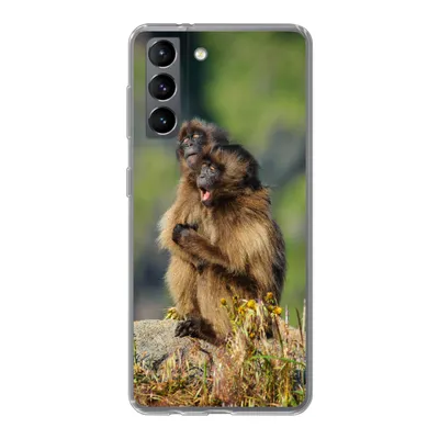 Produktbild von MuchoWow® Handyhülle Schutzhülle Hülle für Samsung Galaxy S21 Affen - Pflanzen - Steine - Familie Silikon Softcase Handy Hülle - Softcase