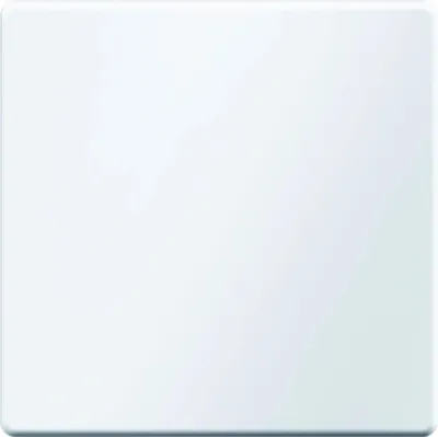 Produktbild von Berker 16206089 - Weiß - Duroplast - 10 Stück(e)
