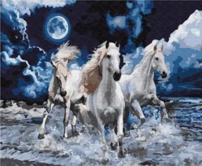 Produktbild von Malen nach Zahlen: Galoppierendes Pferd, 40x50 cm