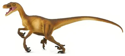 Produktbild von Safari Ltd Velociraptor Dino Figur Braun From 3 Years Kinder Braun From 3 Years