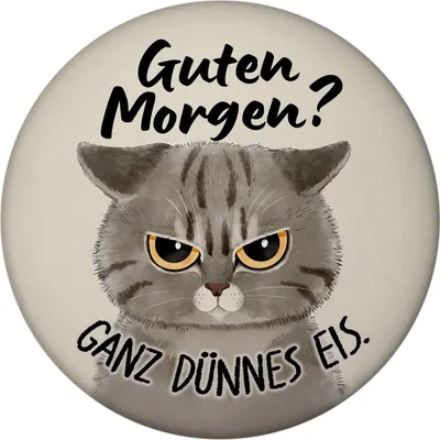 Produktbild von Morgenmuffel Katze Magnet rund mit Spruch Guten Morgen - Ganz dünnes Eis