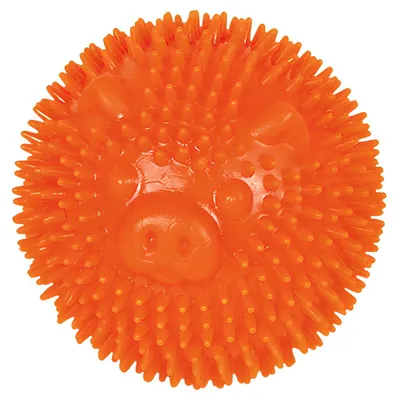 Produktbild von Nobby TPR Noppen Ball Pig orange, Durchmesser: 6,5 cm