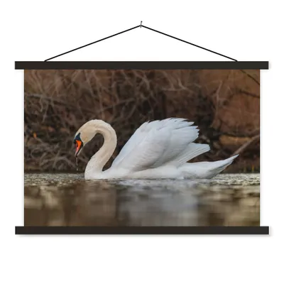 Produktbild von MuchoWow® Textilposter Schwan - Wasser - Tiere - Vogel 60x40 cm mit schwarzem Rahmen - Hölzernes