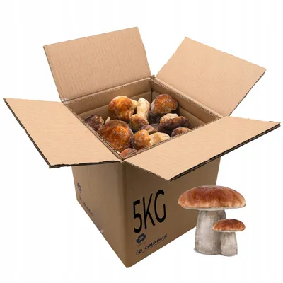 Zdjęcie produktu dla Borowiki Prawdziwki Całe Grzyby Mrożone Cold Pack 5Kg Dużo Witamin Aromatu