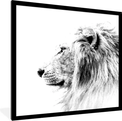 Produktbild von MuchoWow® Gerahmtes Poster Löwe - Schwarz - Weiß - Tiere 40x40 cm - Poster mit Schwarzem Bilderrahmen Wandposter Rahmen Foto Bilder - Mit Rahmen - Wanddekoration Schlafzimmer