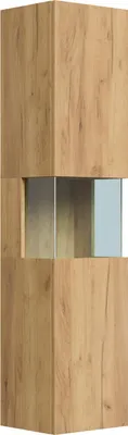 A tall, narrow cabinet with a wood finish and a glass insert.