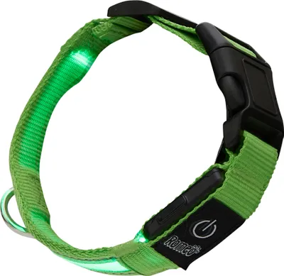 Produktbild von LED Hundehalsband in Größe S in Grün mit Akku und Blinkfunktion 3-6 Stunden
